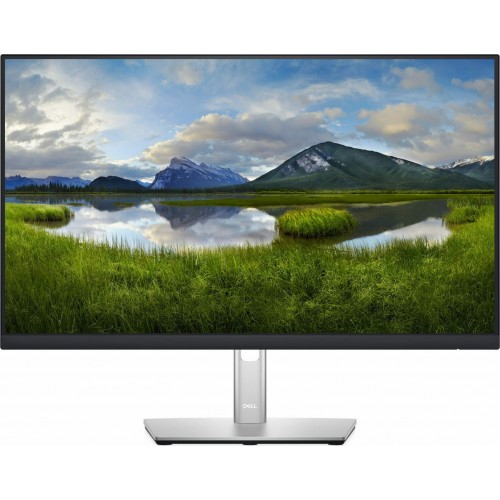 MONITOR DELL P2422H 23.8" IPS FHD